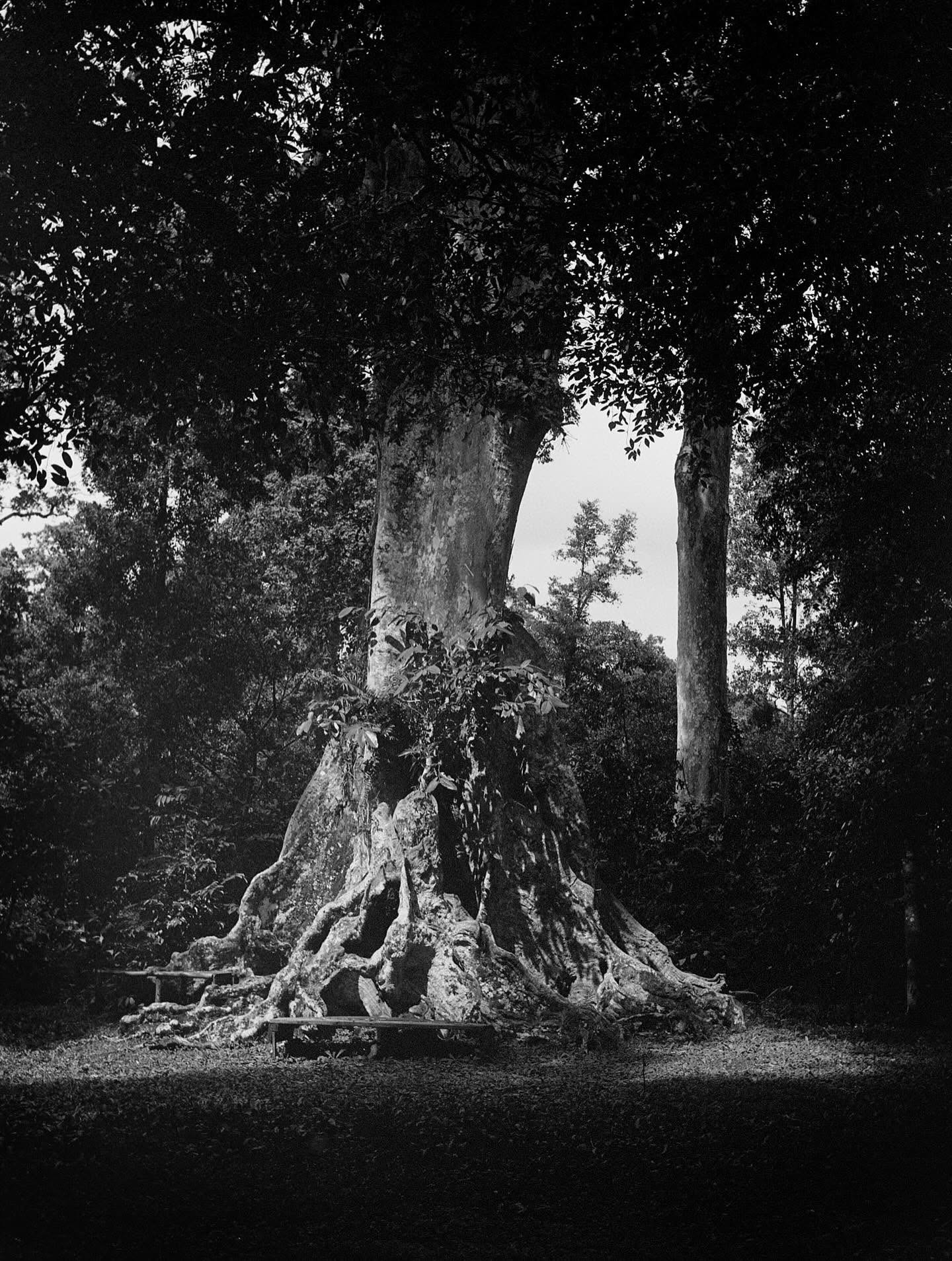What Remains: Between Stories, Beyond Memories